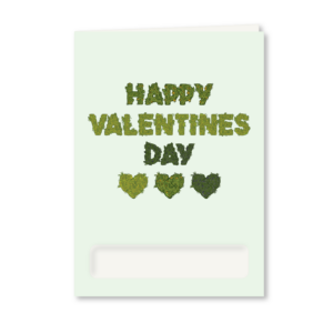 Happy Valentine's Day