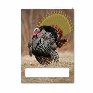 Turkey Joint Tail